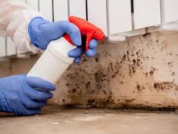 Best Mold Removal for HVAC Installations  in Sinking Spring, PA